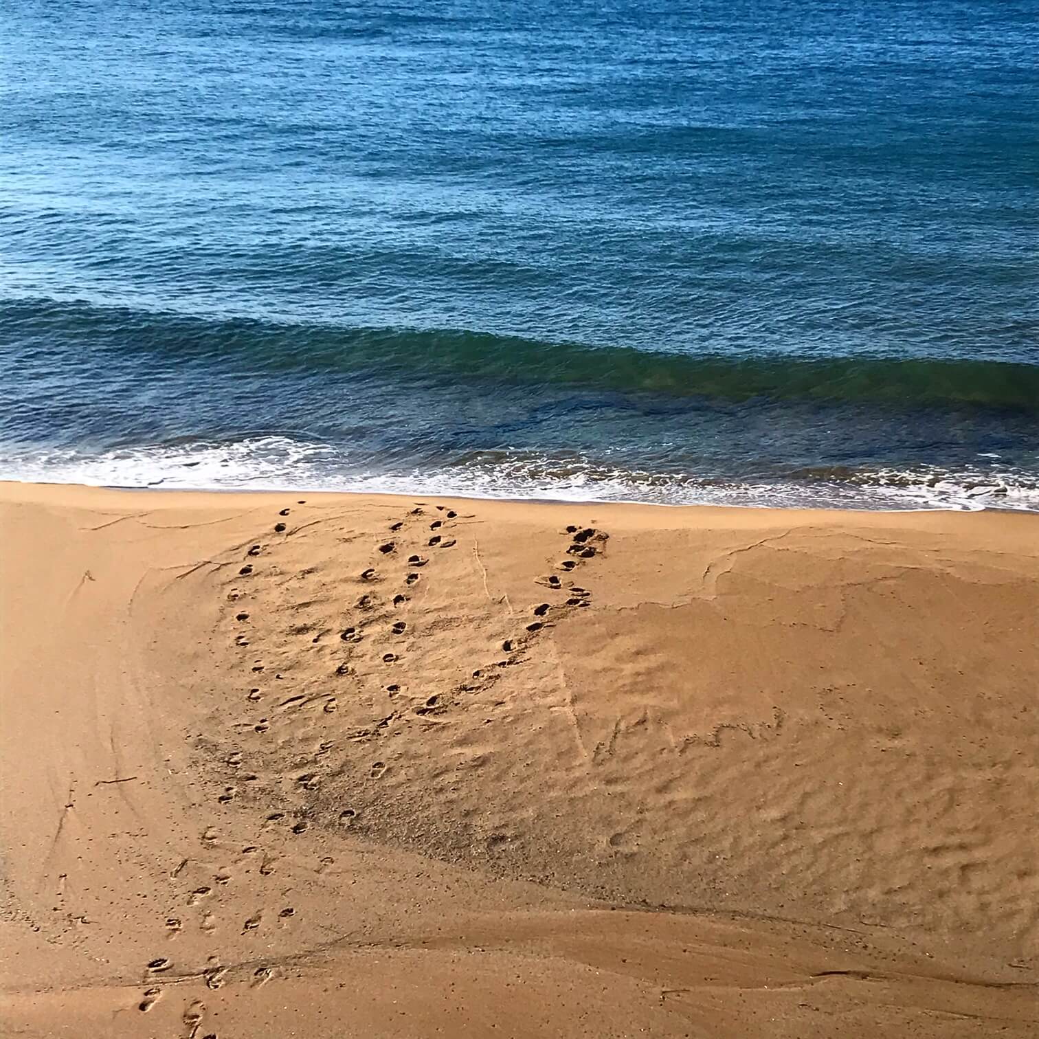 Schwimmen im Winter Spuren im Sand