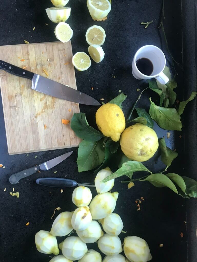Zitronen aus dem Cilento