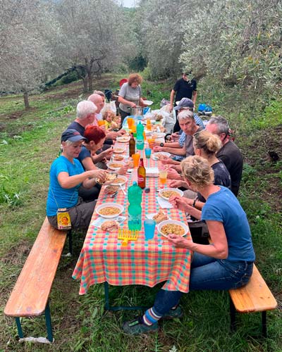 Menschen sitzen an einer langen Tafel in einem Olivenhain und genießen ein gemeinsames Essen nach der Olivenernte in Italien.