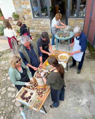 Mehrere Menschen schneiden frisch geerntete Artischocken bei einem Workshop im Innenhof