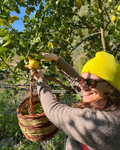 Frau mit gelber Mütze pflückt frische Zitrone im sonnigen Garten Italiens