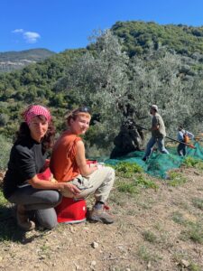 Zwei Frauen bei der Olivenernte